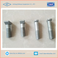 Fish Bolts with Square or Hexagon  head